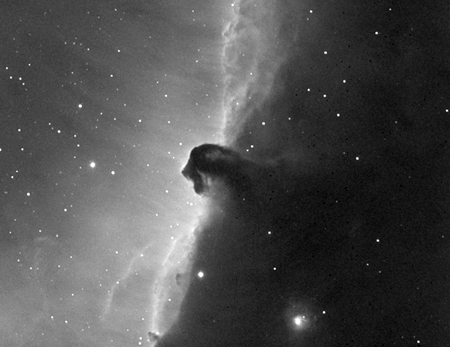 Horsehead Nebula (B33, IC434)