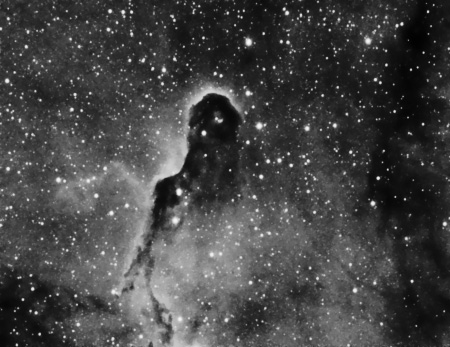 IC1396 - Detail showing the Elephant Trunk Nebula